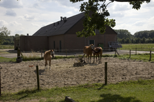 806497 Gezicht op een stal en een weiland met enkele paarden achter het complex van de faculteit Diergeneeskunde van de ...